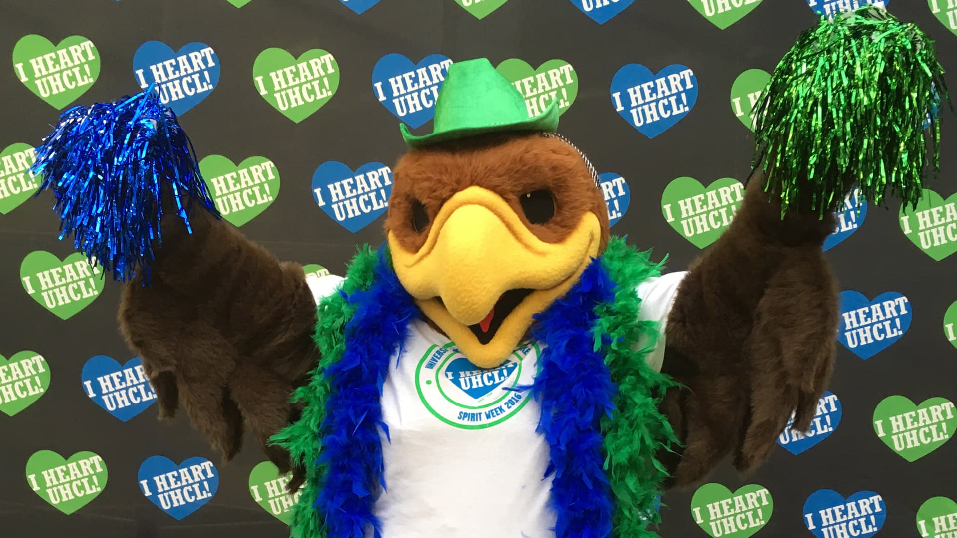 Hunter decked out in blue and green for I Heart UHCL Day