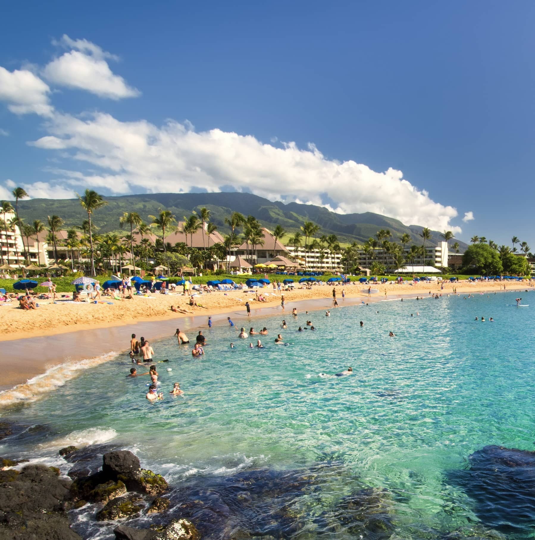 dozens of locals enjoy the sunny Hawaiian beach