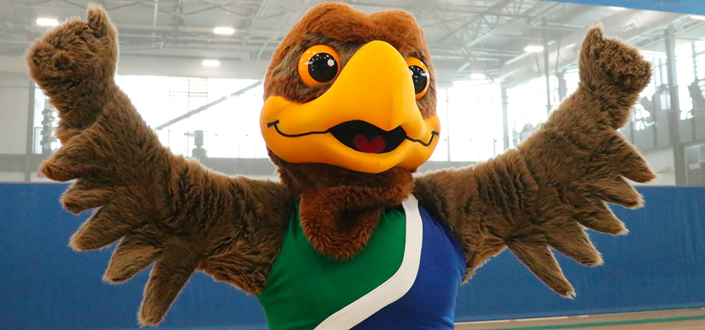 Hunter Hawk