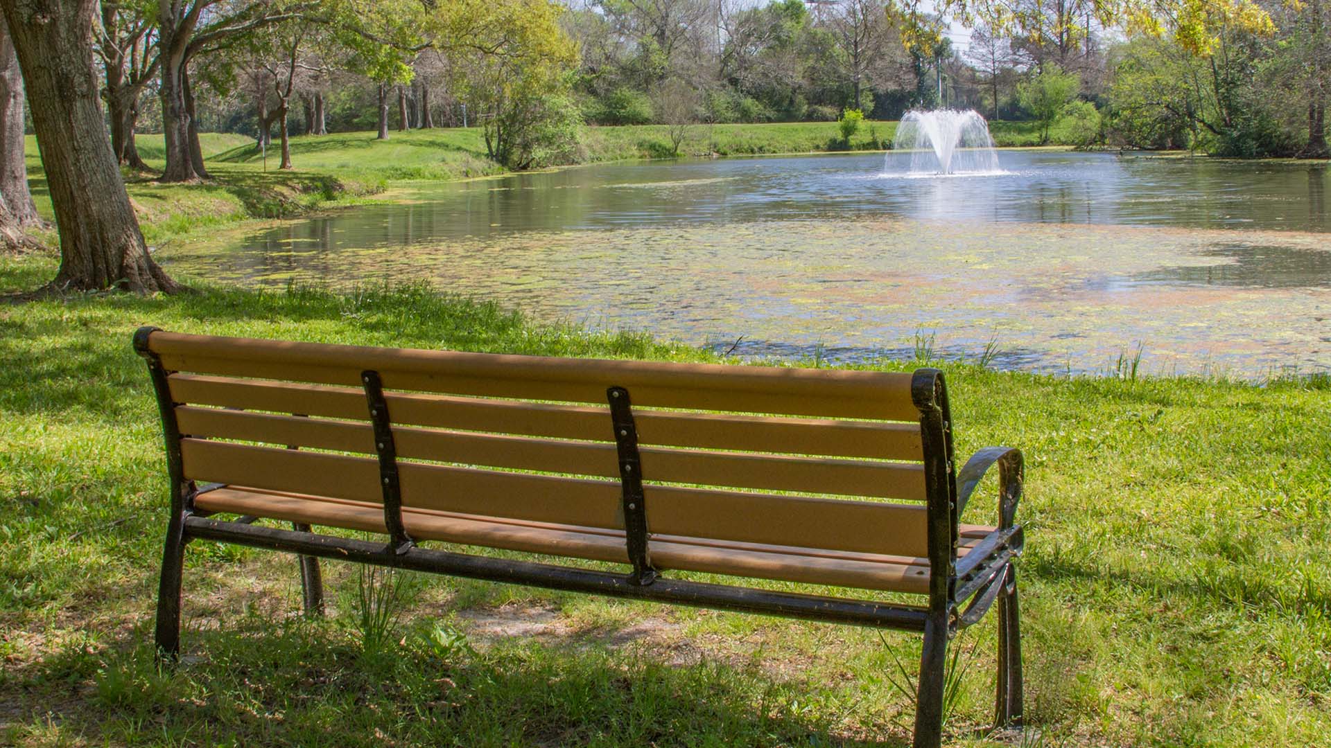 A bench overlooking Potter Pond on the UHCL campus
