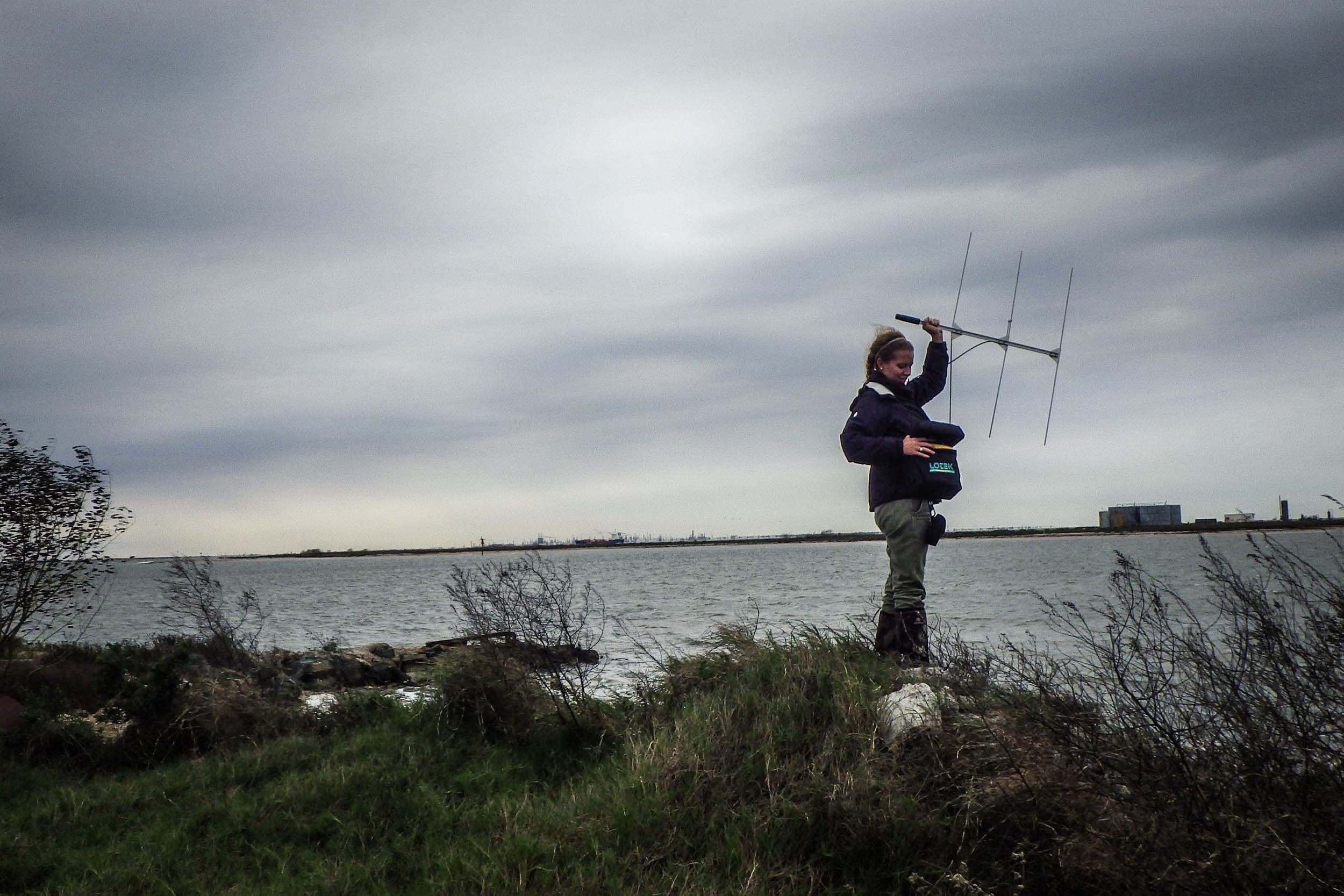 Acoustic and Radio Telemetry