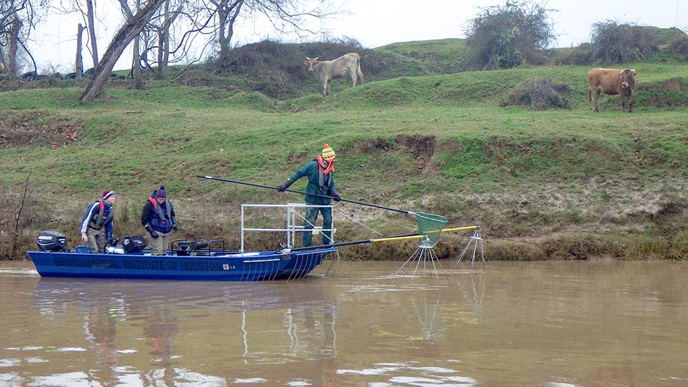 Electroshock Boat