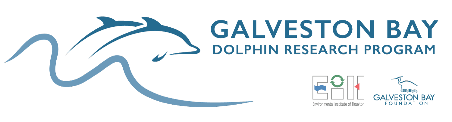 Galveston Bay Dolphin Research Program Logo