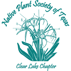 Clear Lake Chapter - Native Plant Society of Texas Logo