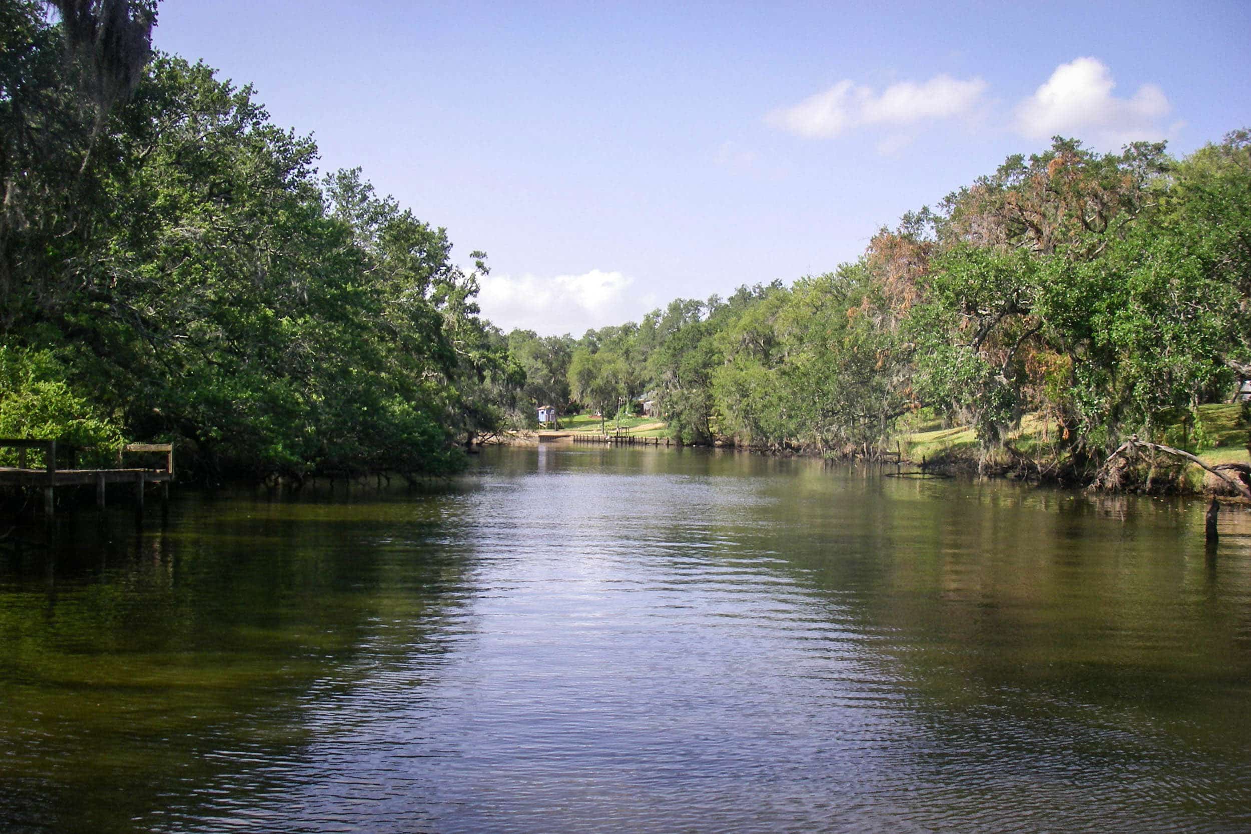 A serene river with trees lining its banks