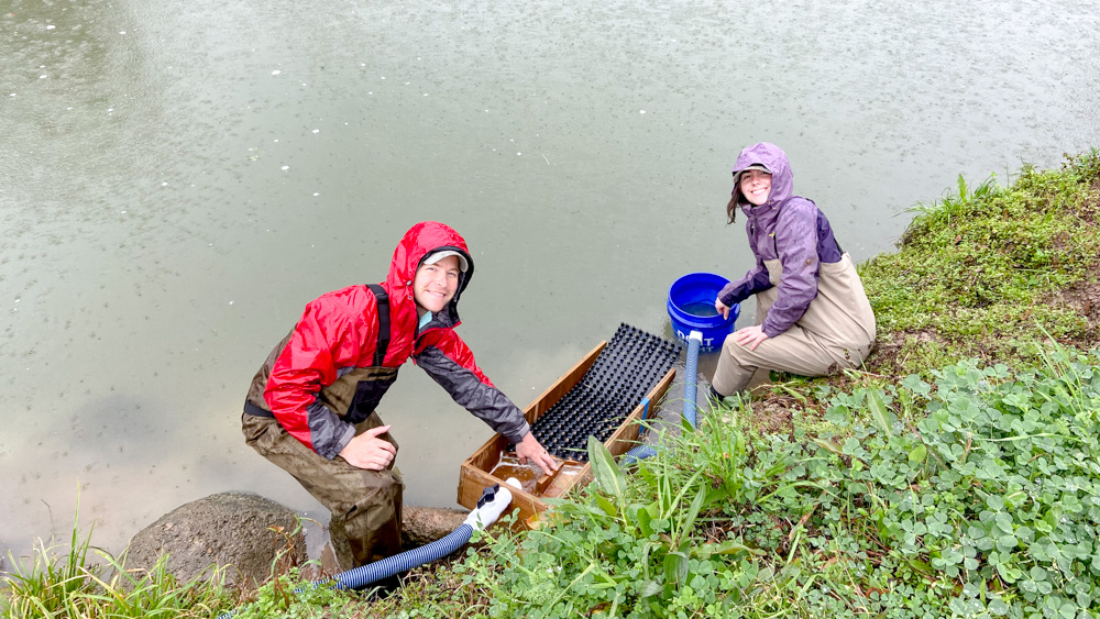 American Eel Project