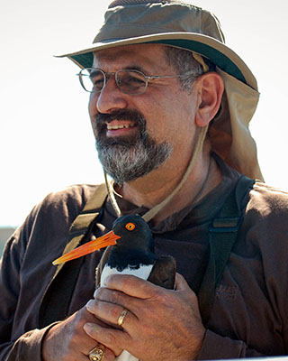 George is holding an American oystercatcher. He is smiling and is looking into the distance to his right.