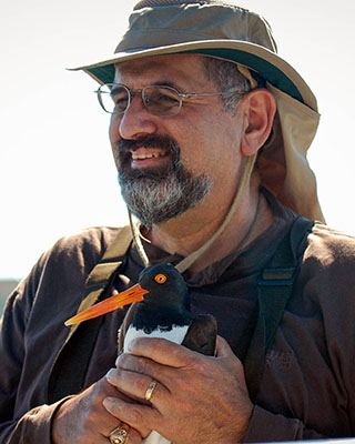 George Guillen George is holding an American oystercatcher. He is smiling and is looking into the distance to his right.