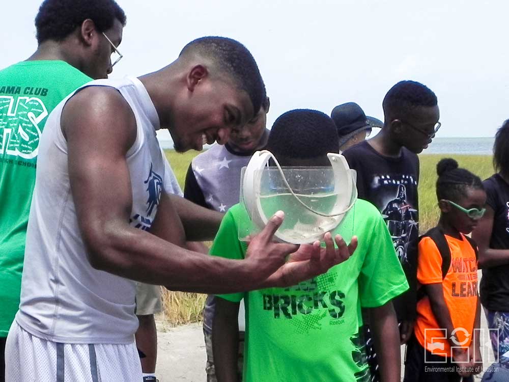 Students observe fish