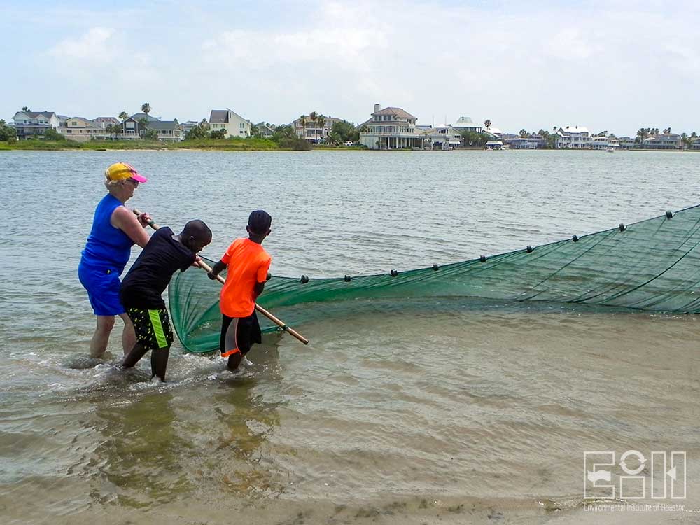 Students help seine for fish and other marine life