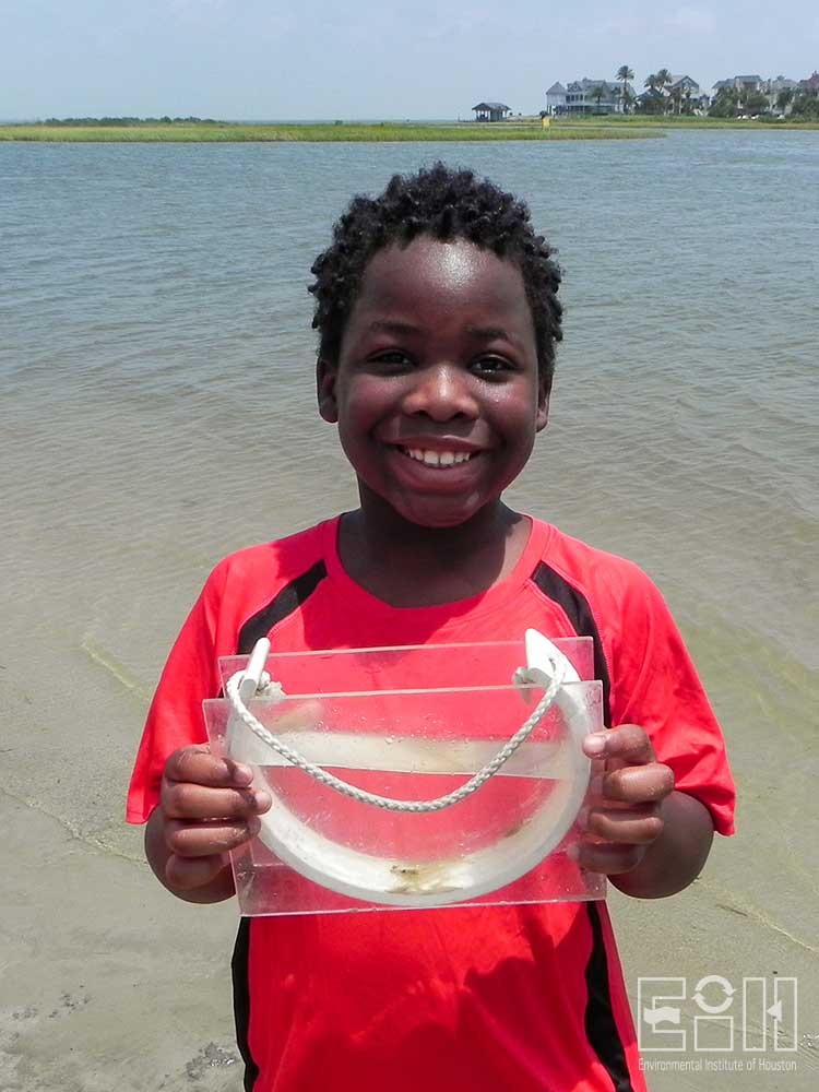 Student holding observation tank with shrimp