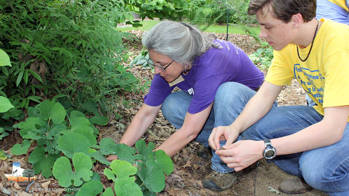 Students work with environmental professionals to prepare for the Envirothon competition