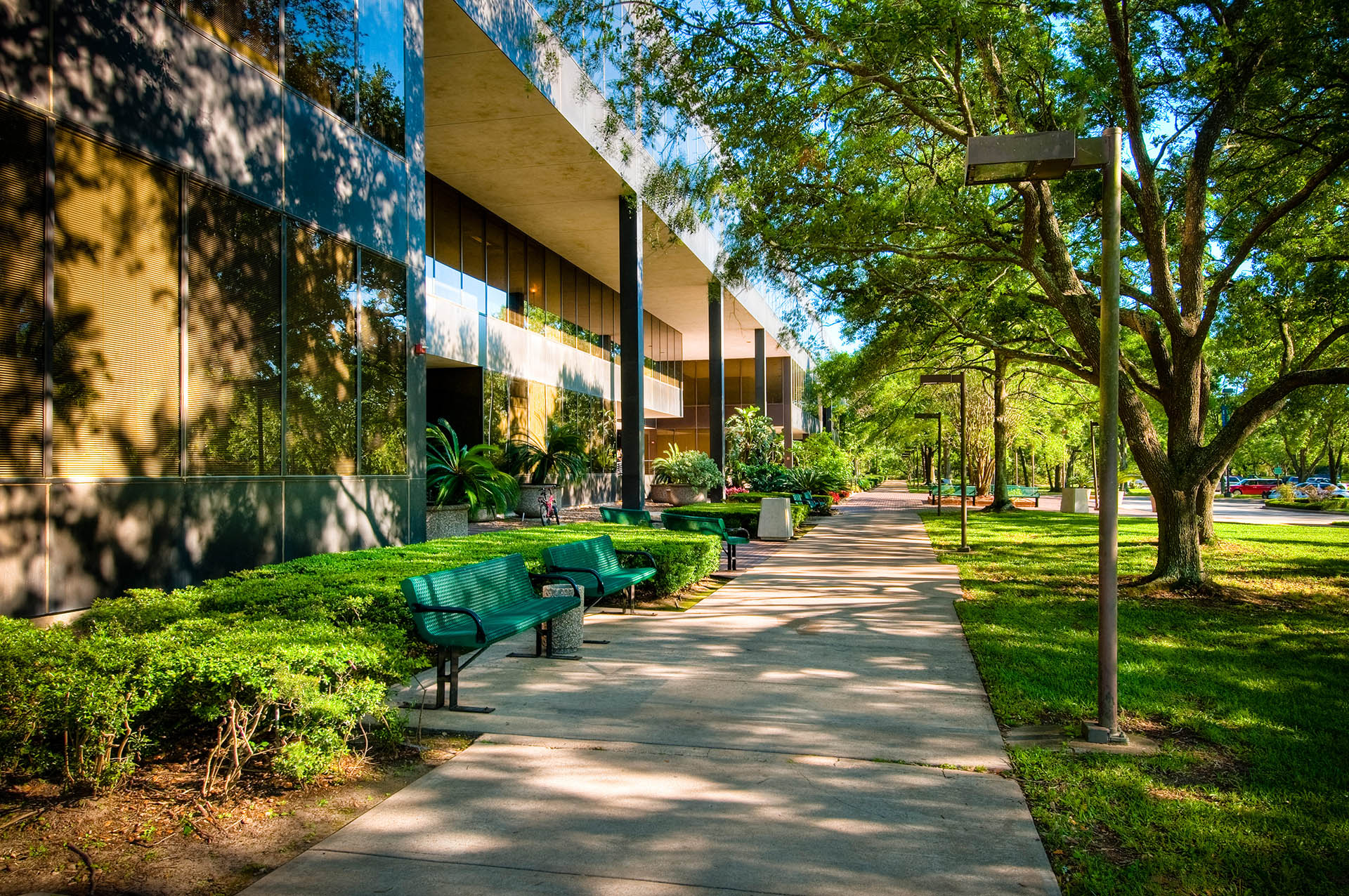  A sun-dappled view of the Bayou Building and UHCL campus
