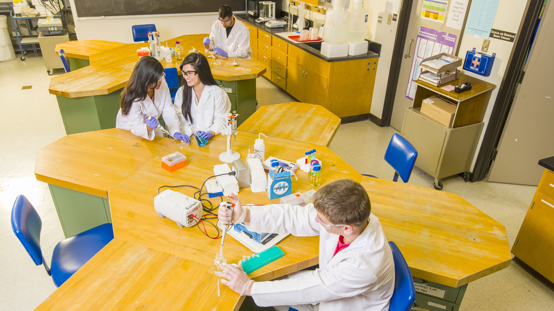 UHCL students at work in a biology lab.