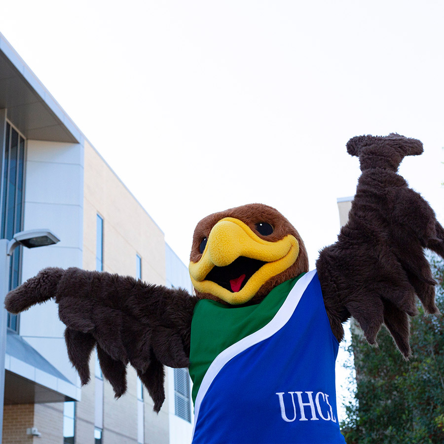 Hunter the Hawk - UHCL at Pearland