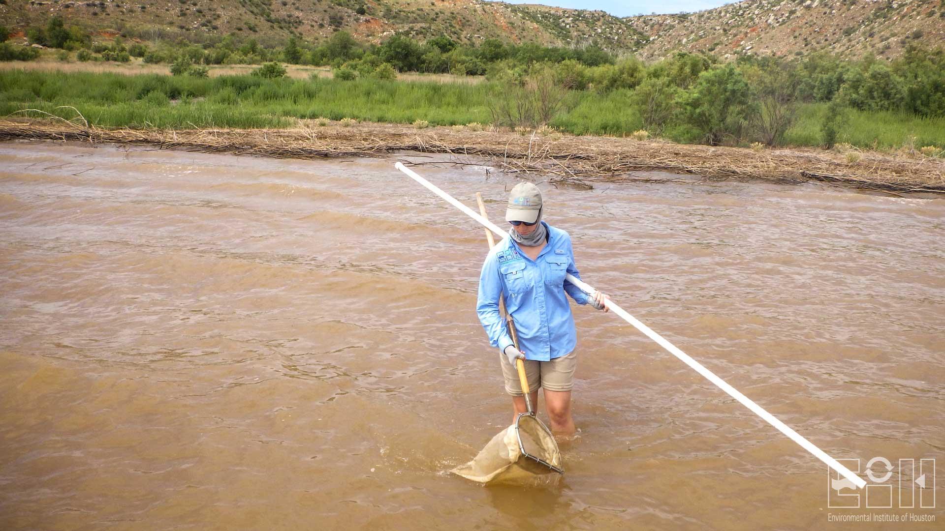 Jo Vaughn samples in Lake Meredith.