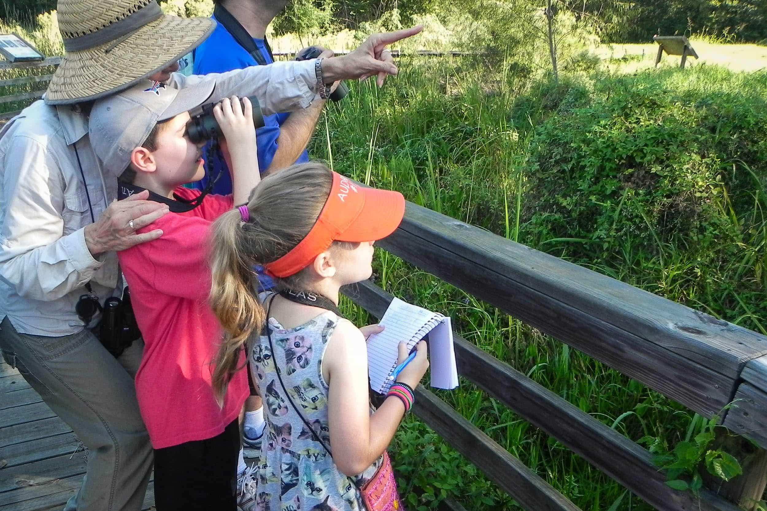 Birding at the UHCL wetlands