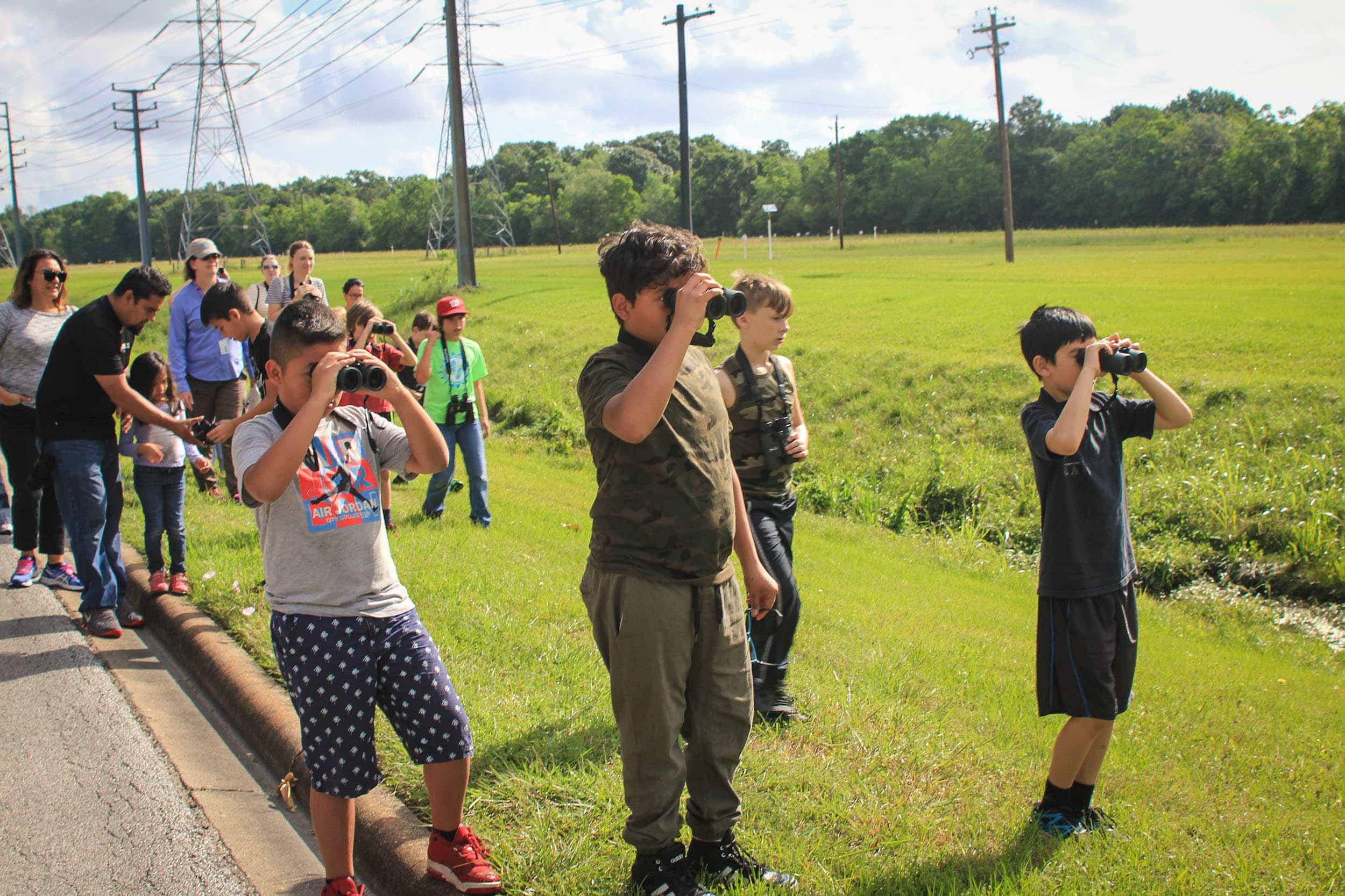 Birding on the UHCL campus