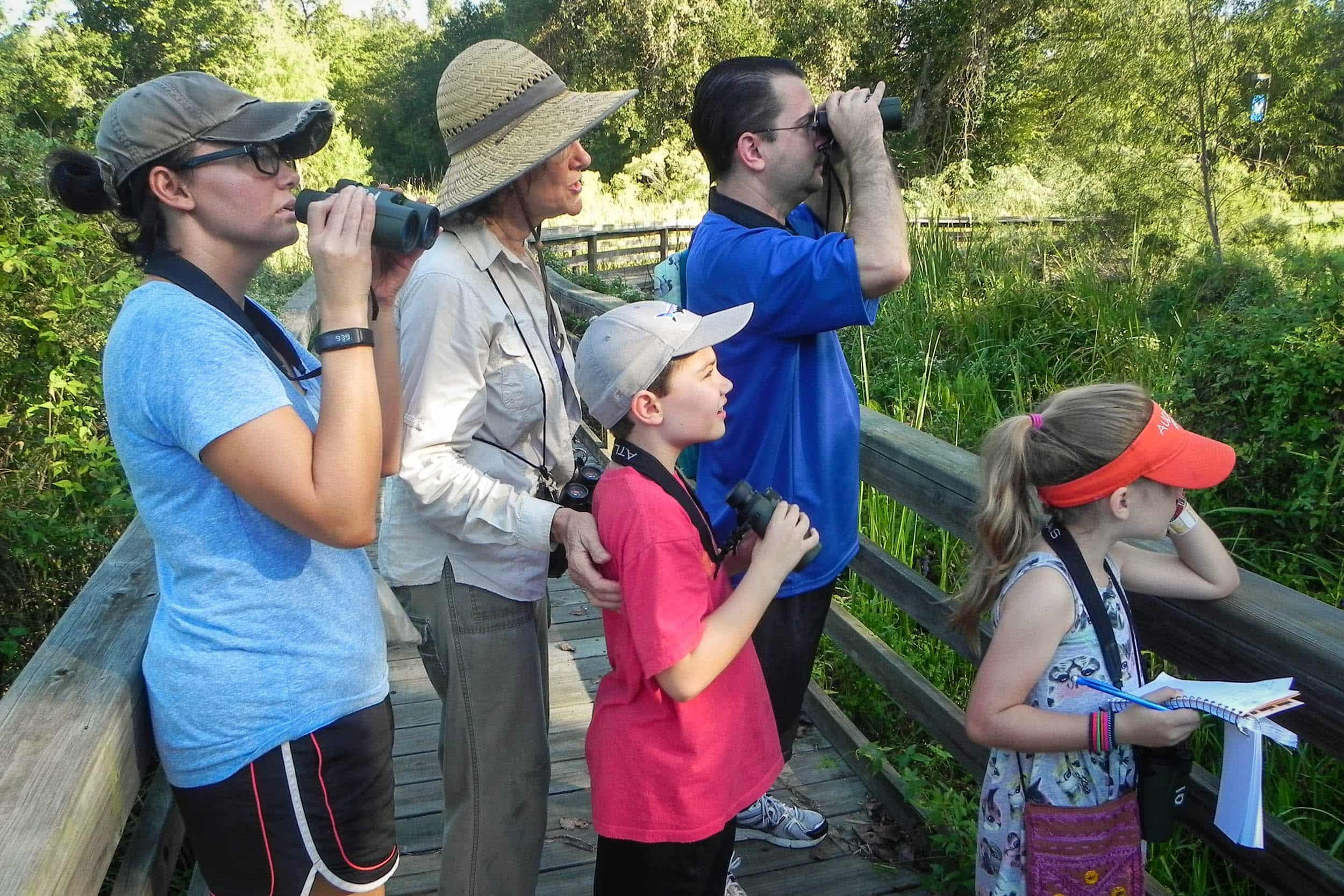 Birding at the UHCL wetlands