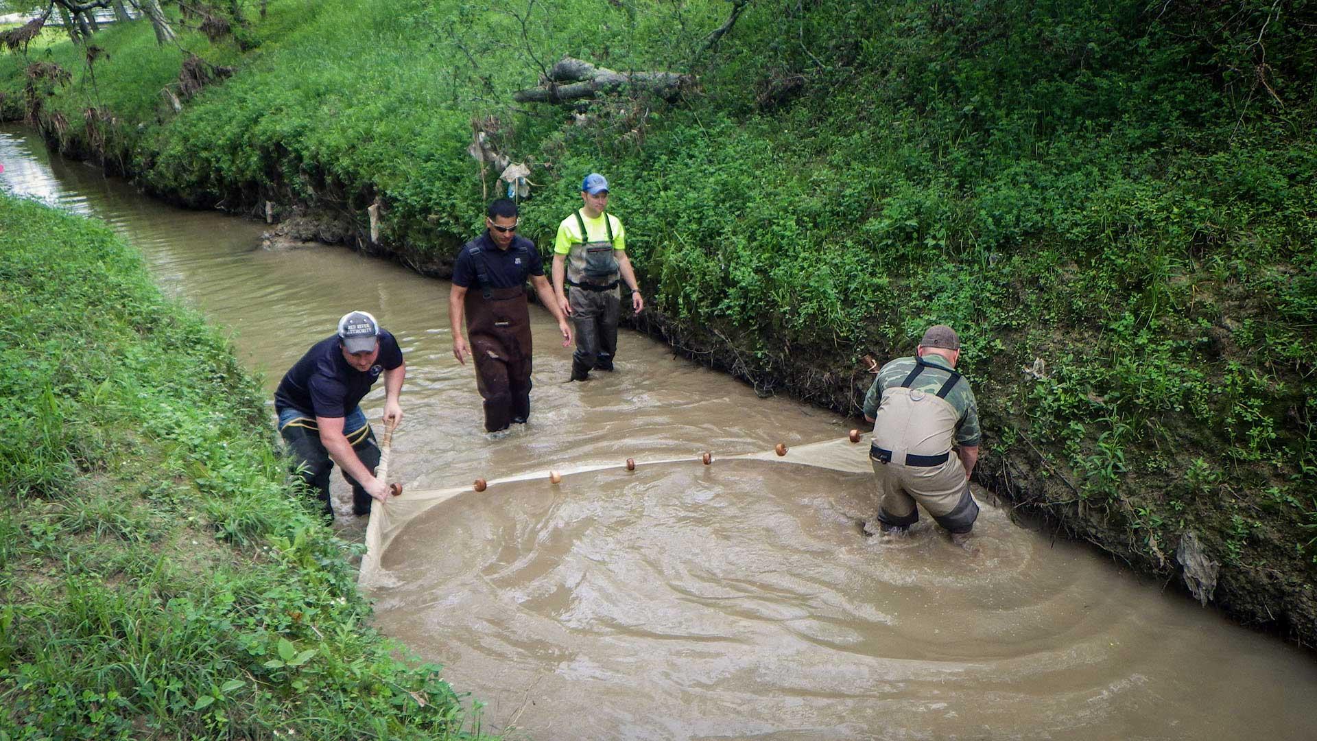 Surface Water Quality Monitoring Training University of HoustonClear