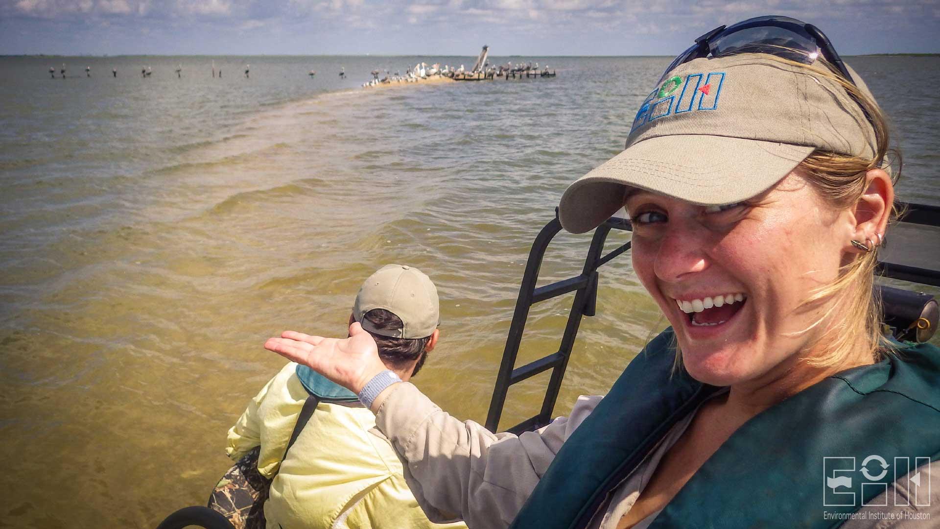 Assessment of Shorebird Populations in Galveston Bay Using Conventional and UAV Techniques