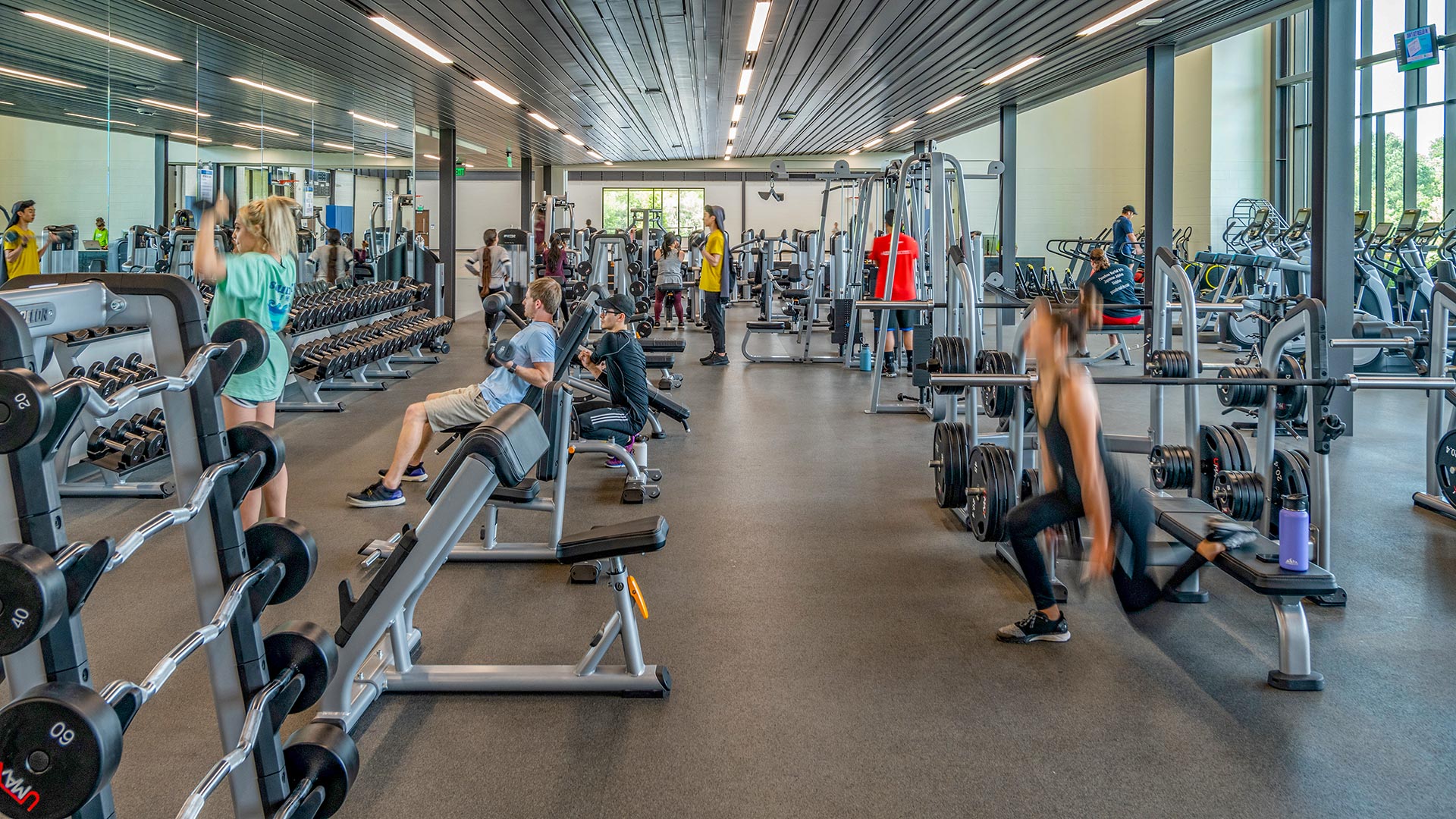 Workout equipment at the UHCL Recreation and Wellness Center including free weights and machines