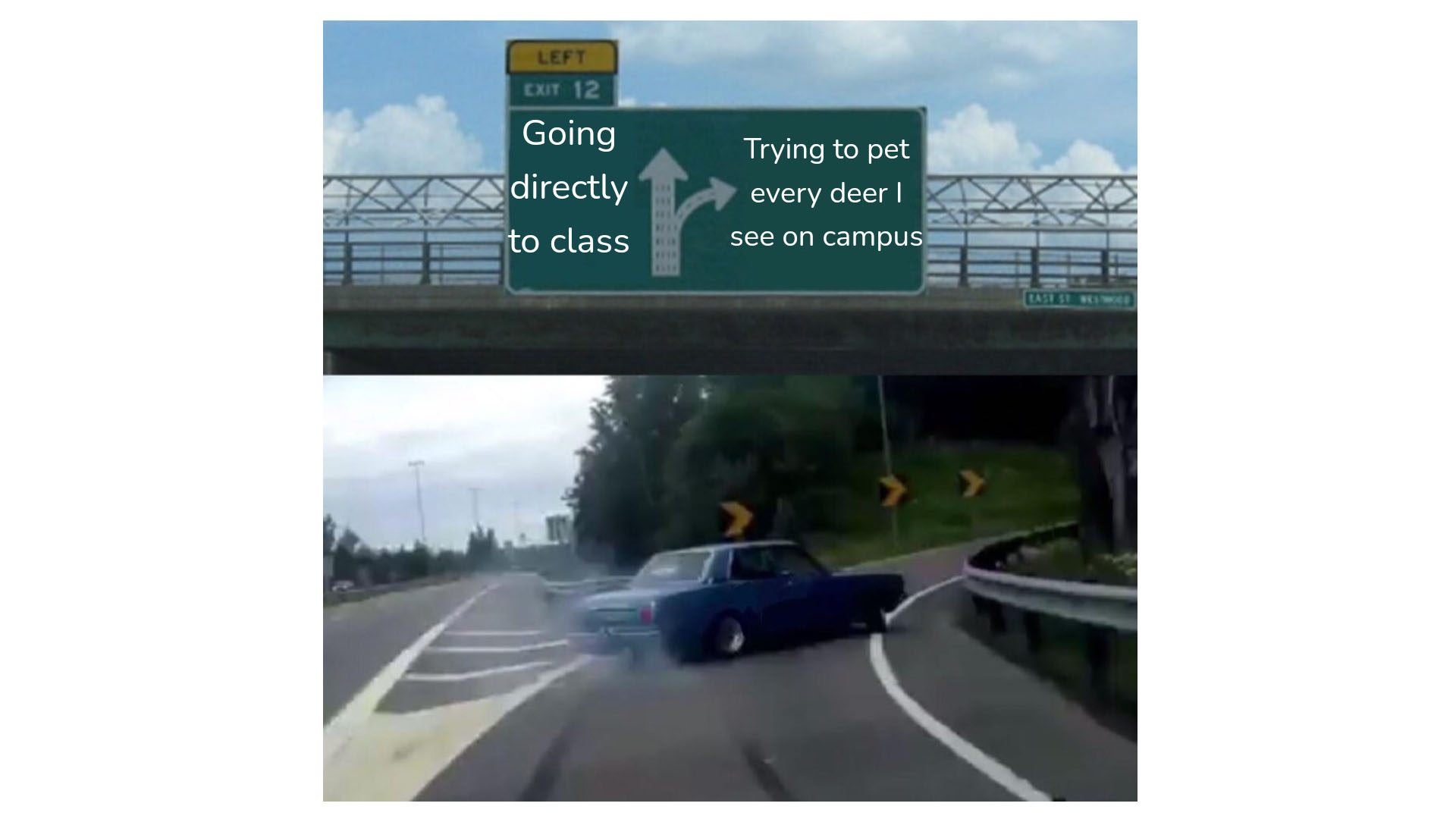 A car drifts off a freeway towards a sign that says "trying to pet every deer I see on campus". Another part of the sign says "Going directly to class"