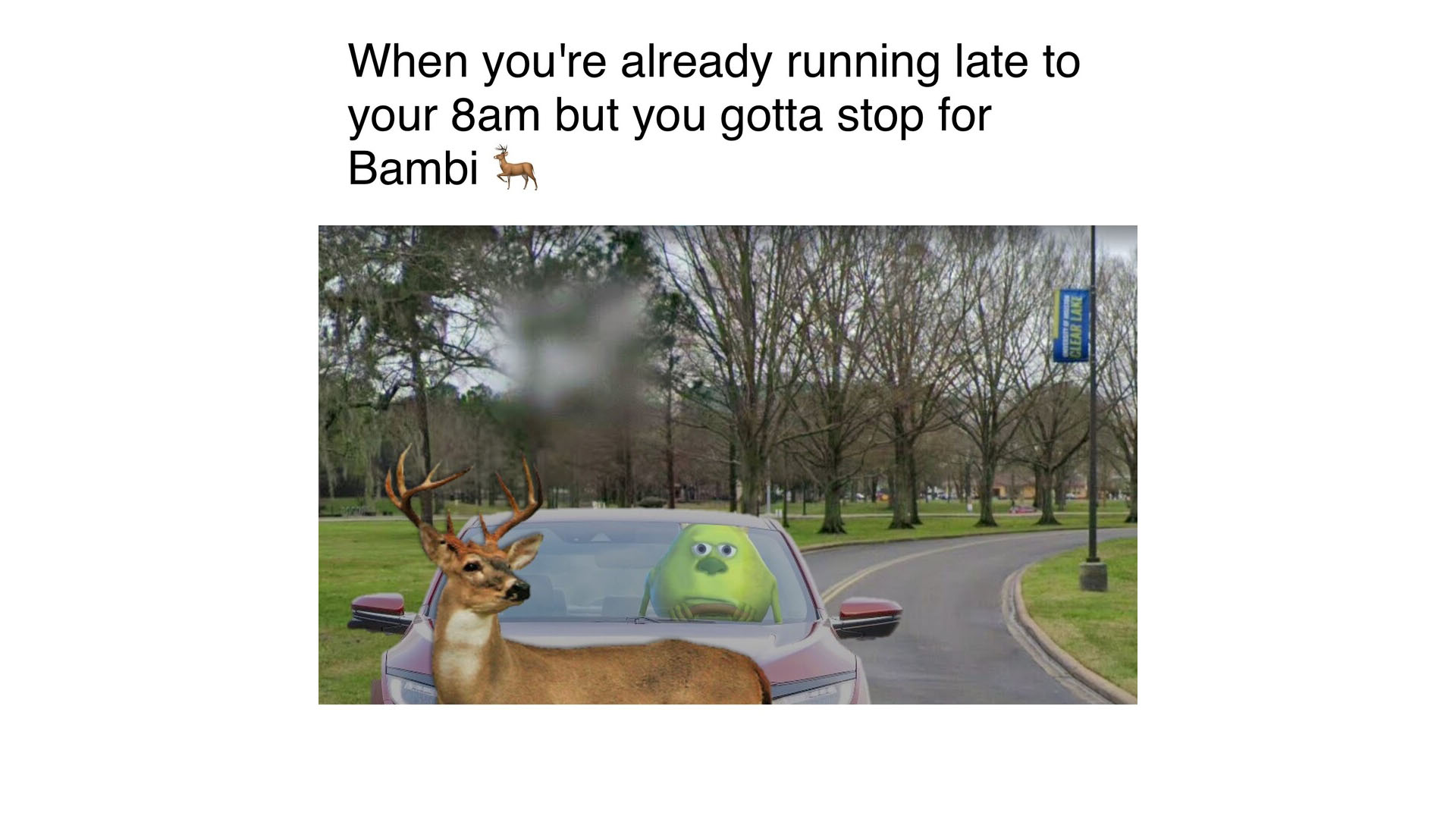 Title: When you're already running late to your 8 am but you gotta stop for Bambi. Monsters Inc sits in a car on the road waiting for a deer to pass.